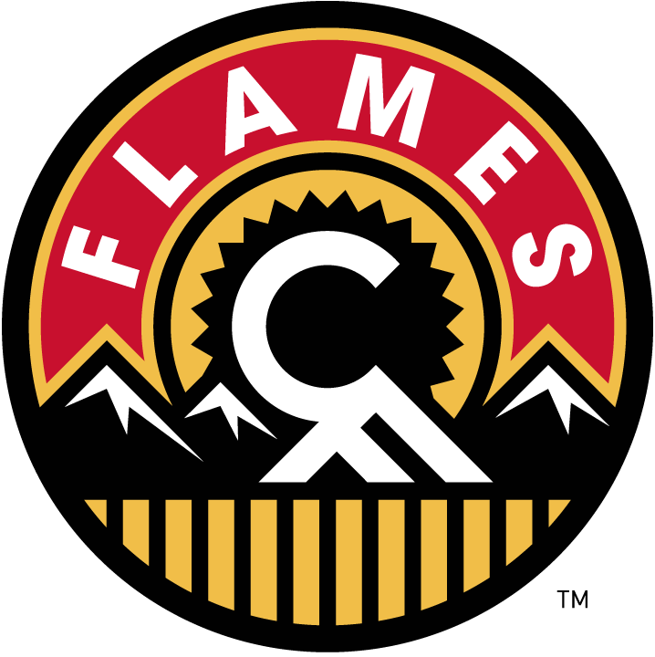 Calgary Flames 2013-2016 Alternate Logo iron on transfers for T-shirts